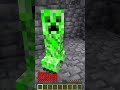 MINECRAFT MA SE PRENDI DANNO GUADAGNI VITA!