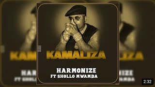 Harmonize ft sholo mwamba - Kamaliza
