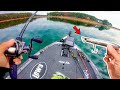 Fishing BIG Topwaters for GIANT Bass (Lake Fishing)
