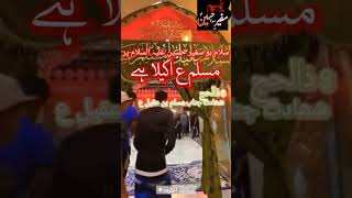 9th zulhijj shahadat janab Muslim bin aqeel a.s ##short video##