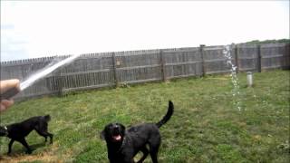 Llr Crystal And Her Choice Of Drug Water