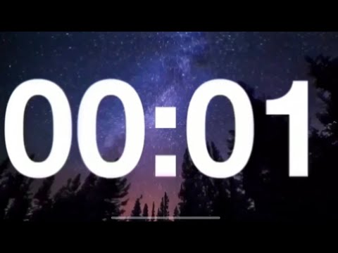 1 second timer