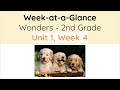 Caring for Animals and Vocabulary Quiz