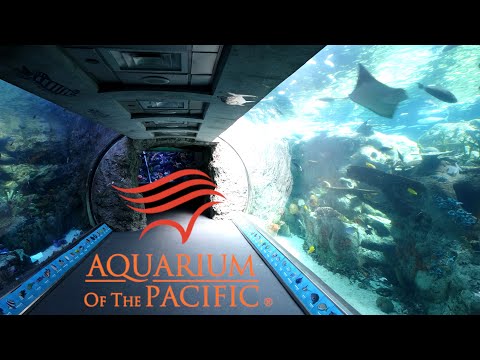 Aquarium Of The Pacific Tour & Review with The Legend