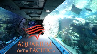 Aquarium Of The Pacific Tour & Review with The Legend