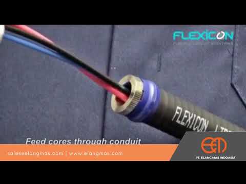 FLEXICON EXD Flameproof