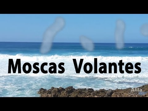 Vídeo: Ilhas Voadoras - Visão Alternativa