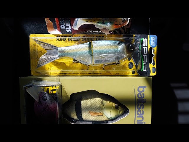 Tackle Warehouse Unboxing  New Year New Baits! (Glidebaits
