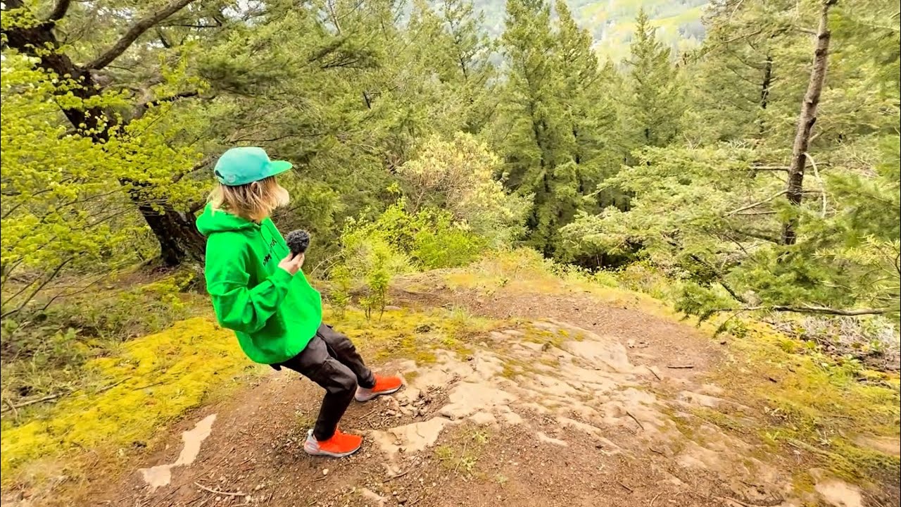 *ASMR* FORESTED MOUNTAIN (PUBLIC ASMR)