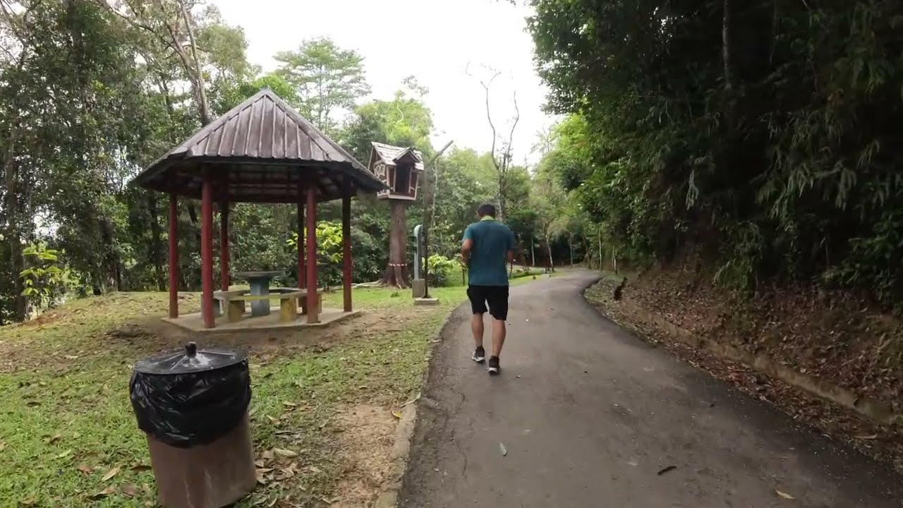 A short tour at Taman Tun Fuad Stephen, Bukit Padang Kota Kinabalu, Sabah, Feb 2026.