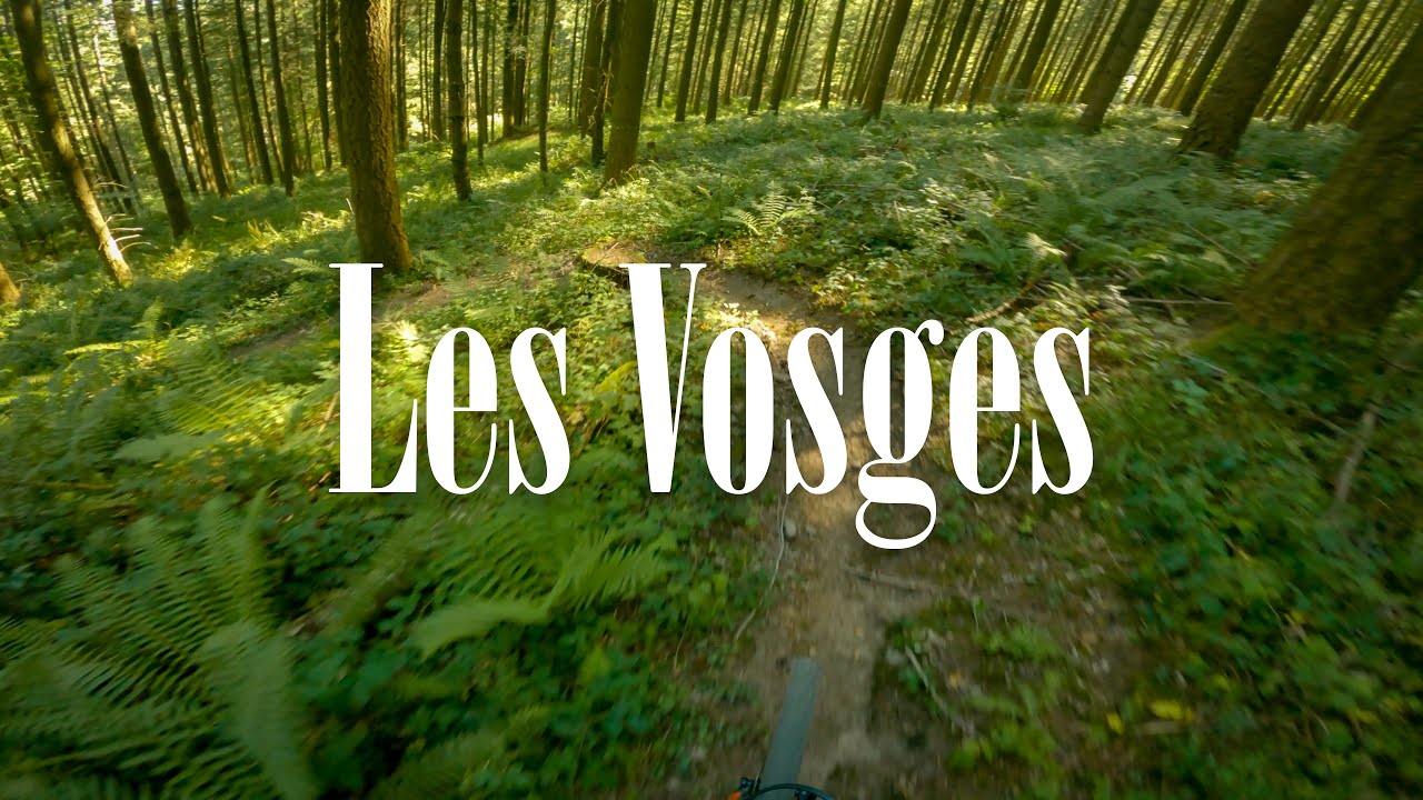 Blind Enduro-Trails in the Vosges