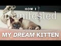 Manifestation Storytime | My Latest Tips + Techniques