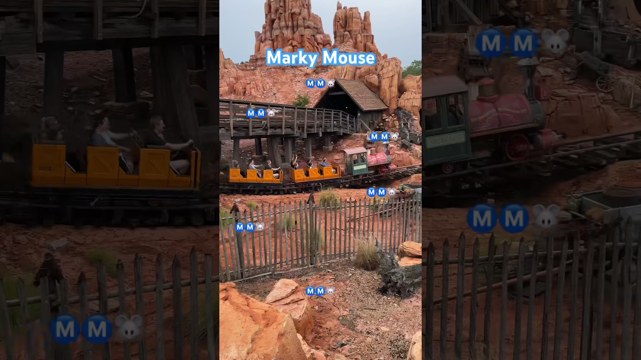 Train Roller Coaster Walt Disney World 