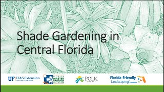 Shade Gardening in Central Florida