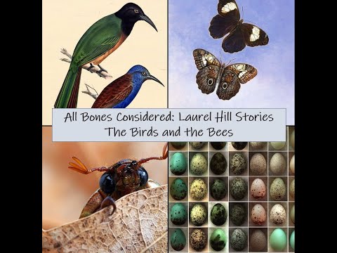 All Bones Considered: Laurel Hill Stories - The Birds and the Bees: Ornithologists and Entomologists