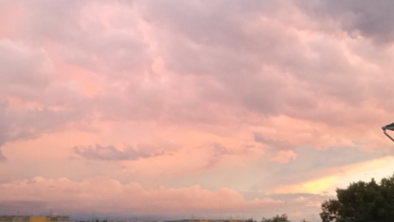 Собираем Мой Пенал В Школу + ОРГАНИЗАЦИЯ МОЕГО СТОЛА????/ Карина Маркова ...