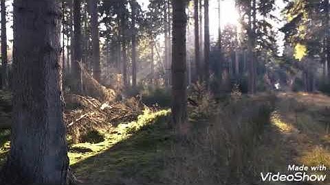 شفاعة سورة الملك سعد العتيق