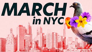 Celebrity 6 FREE things to do in NYC – March 2023 Edition Profile