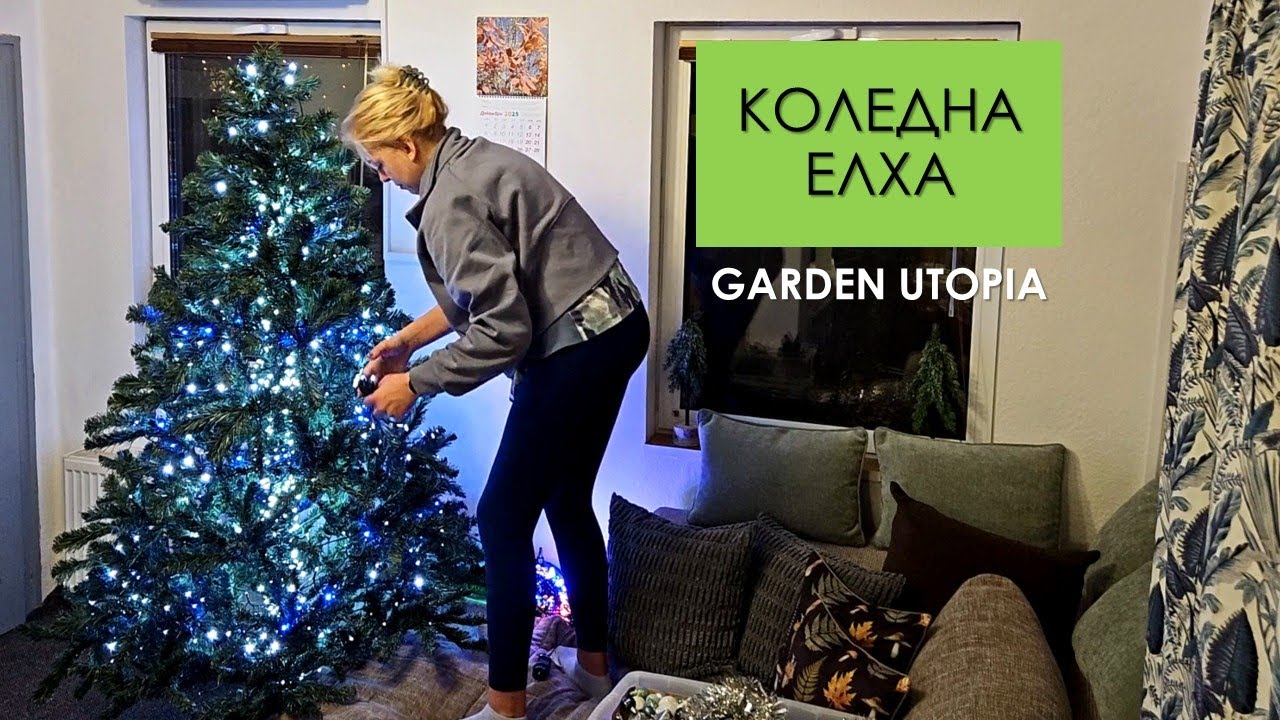 ЕЛХАТА 2025: #Ден 78 от 90 ДНИ НА СЕЛО