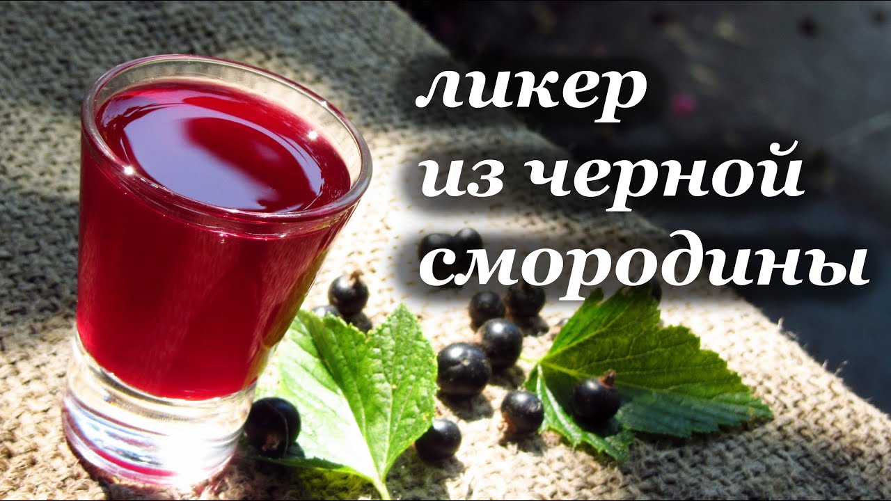 Чёрная смородина ликер в домашних условиях Чёрная смородина ликер в домашних условиях