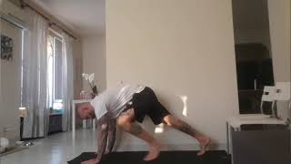 Plank Hold on Hands