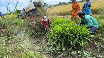 Mùa cắt lúa tha hồ bắt chuột ở miền tây | hunting | - TT2172