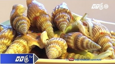 Ốc nhảy que hấp xả cho ngày mát trời | VTC