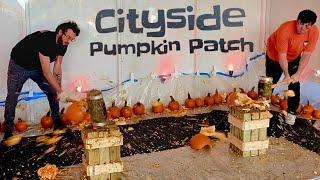 🎃 Cityside Pumpkin Patch - NYC 🎃