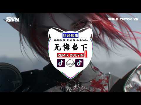 潘德林 & 文迪 & 小金JoJo - 无悔当下 (抖音DJ版)『宁静的街中 夜漆黑似空，剩一盏晚灯 承载我落空，长夜里独看 并无明月朗，但我有心中期望』TikTok｜推荐好听的歌曲