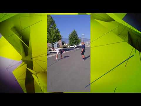 Honors Physics 500