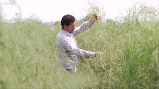 TITULARES AGRONOTICIAS sie7e PROGRAMA 366