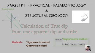 STRUCTURAL GEOLOGY - PRACTICAL - Calculation of True dip from one apparent dip and strike