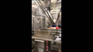 Robotic top load packing for crisps bags powered by Vuototecnica Vacupredator