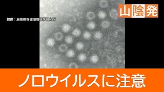 「わずかな量でも感染…」急増するノロウイルスによる食中毒「アルコール消毒は効果薄」対策の難しさ浮き彫り