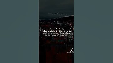 #2023 القرآن الكريم