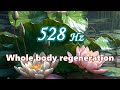 【Whole body regeneration】 Relaxing music with a 528 Hz　#Anti-aging