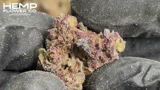 Money Ball Indoor THCa Flower by Hemp-Flower Co.