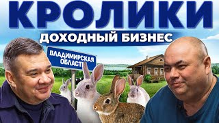 Кролики - это выгодно! Как заработать на кроличьей ферме? Владимирская область | Андрей Даниленко
