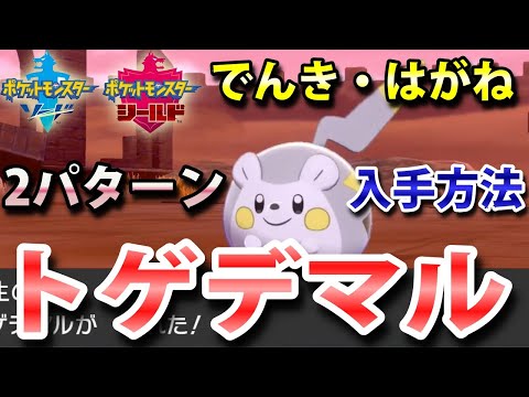 ソードシールド トゲデマルの種族値 わざ 特性など能力と入手方法 ポケモン剣盾 攻略大百科