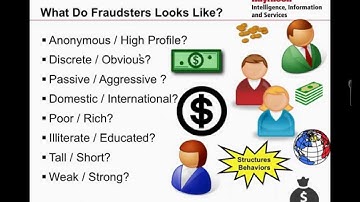 Visualizing Fraud Patterns: Exposing the Hidden Threats