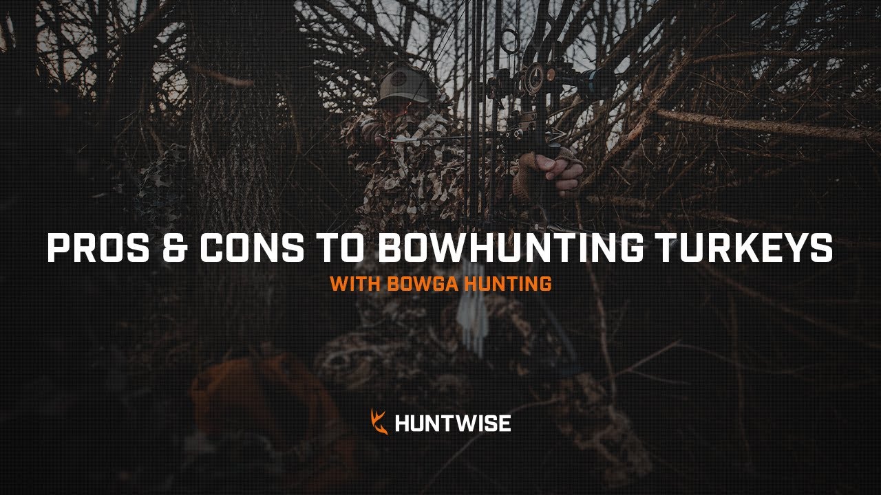 The Pros & Cons of Bowhunting Turkeys with Bowga Hunting YouTube