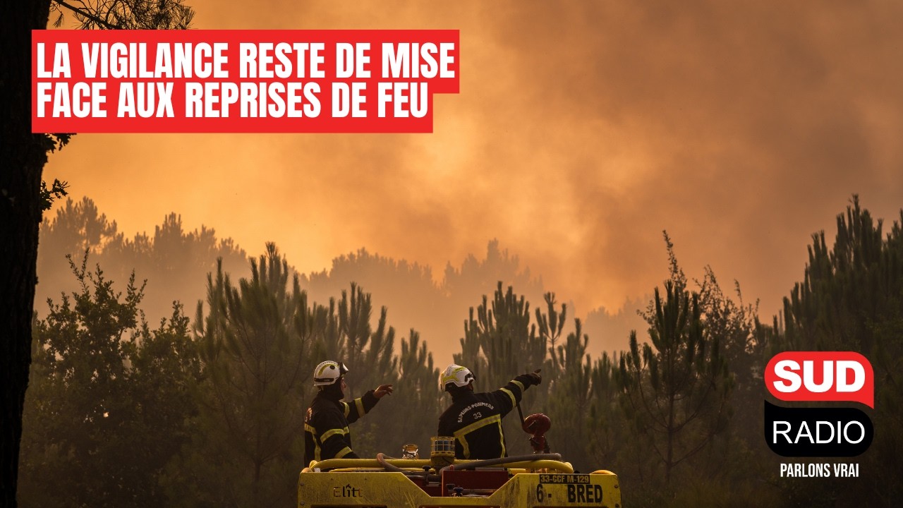 Incendies : « Il n’y aura plus d’abeilles pendant un bon moment »