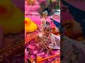 Shrinathaji #yamunaji #thakorji #dwarkadhish