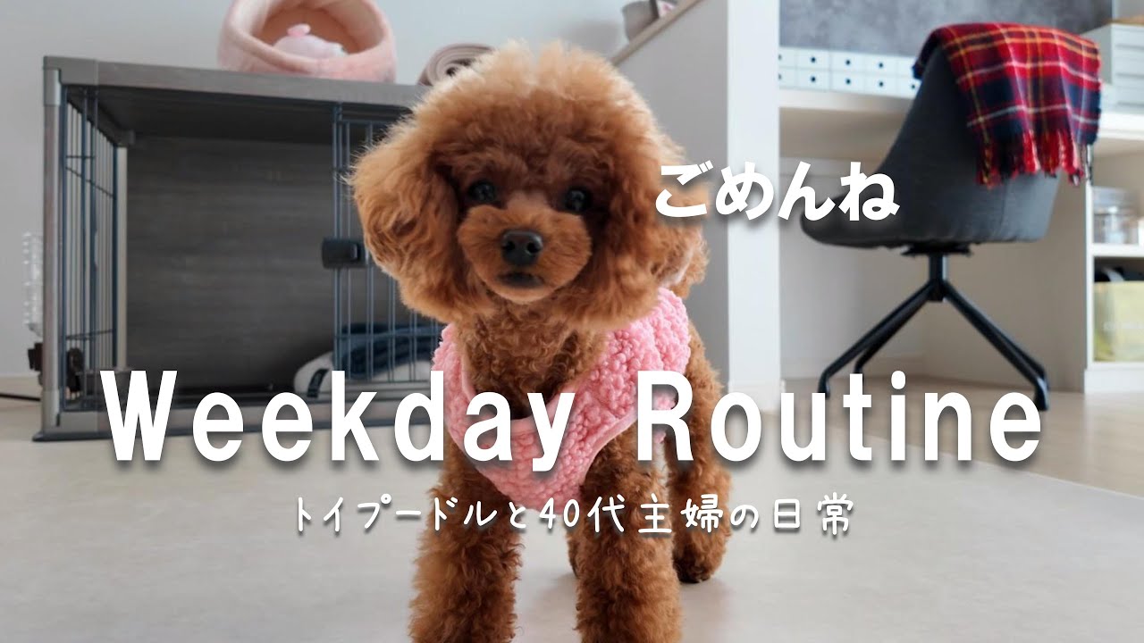 #23 【 平日ルーティン 】お母ちゃんの懺悔 / 朝から夕方まで / かけがえのない時間を娘と過ごして / エネルギーチャージ✨