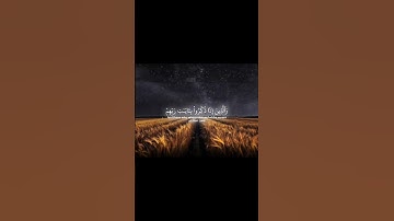 أذكر الله | سورة الفرقان 70-73 #quran #قرآن #محمد_اللحيدان #ياسر_الدوسري #تلاوات #القرآن_الكريم