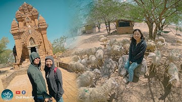 Đến Ninh Thuận không nên bỏ lỡ Bánh Căn, Tháp Chàm và Đồng Cừu | Mê Du Lịch - Lâm Travel Vlog