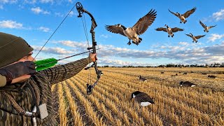 The CRAZIEST Goose Bow Shot Ever Filmed!