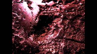 Celebrity M.T.void - Toad Wealth