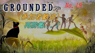 「GROUNDED 」19(参加型)