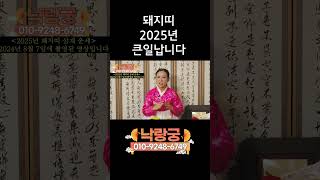 ※주의※ 돼지띠 벌써 삼재 시작?? 어떻게 해야하는지 알려줍니다